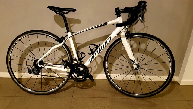 specialized dolce sizing